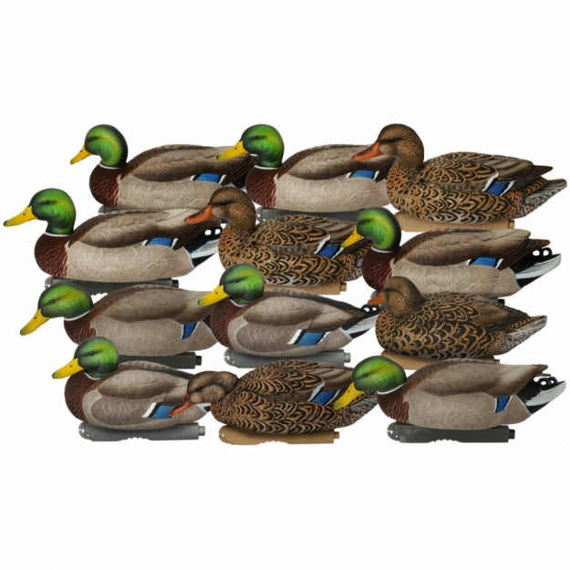 XD Mallards Harvester 12 Pk
