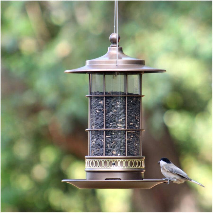 More Birds Trellis Lantern Combo Bird Feeder, 2.7 lb Capacity